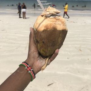 Image for school-trips-section